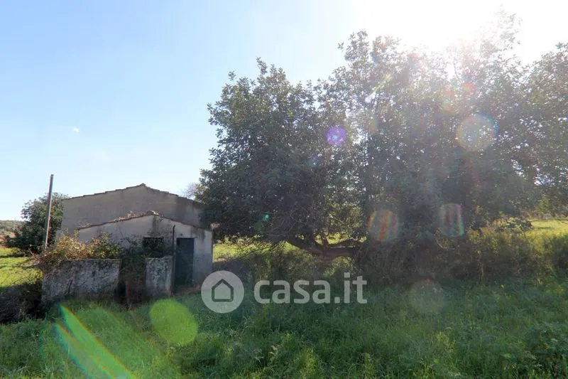Extérieur - Rustic Casale with Large Land in Ispica