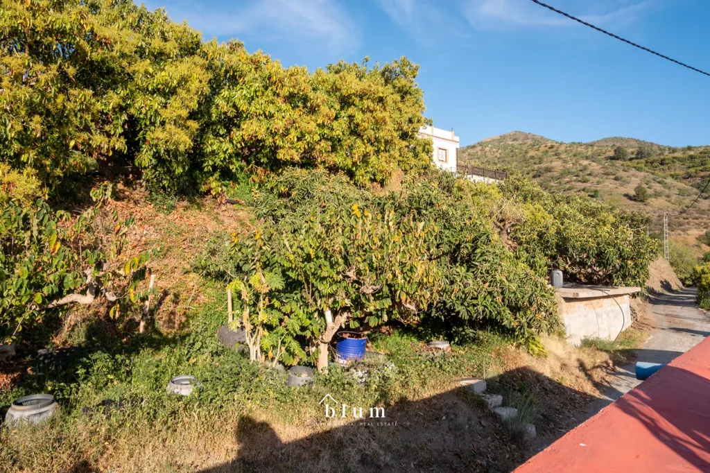 Terrasse - Farmhouse with Pool in Jete, Almuñecar