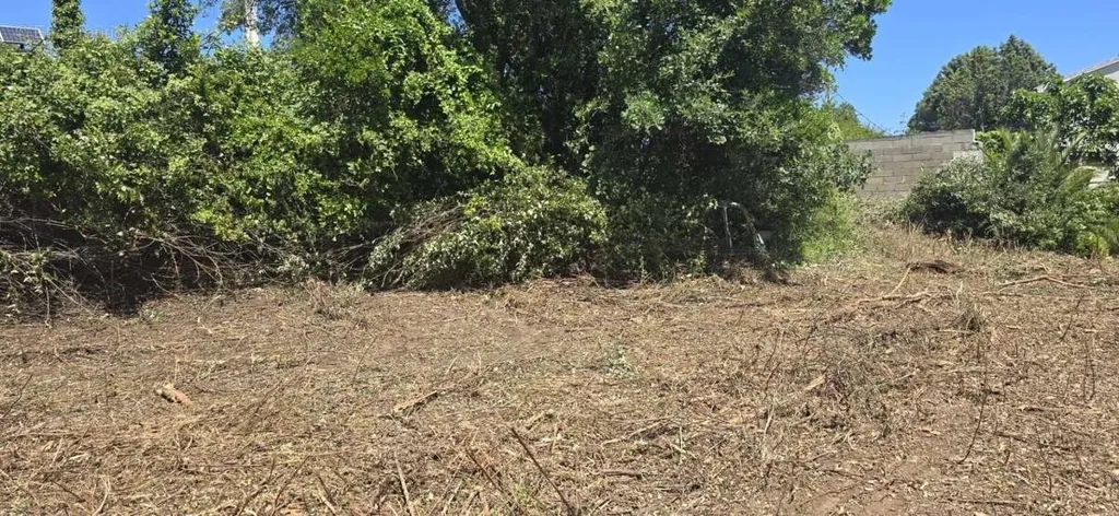 Garden - Buildable Land with Viability in Prunelli di Fiumorbo