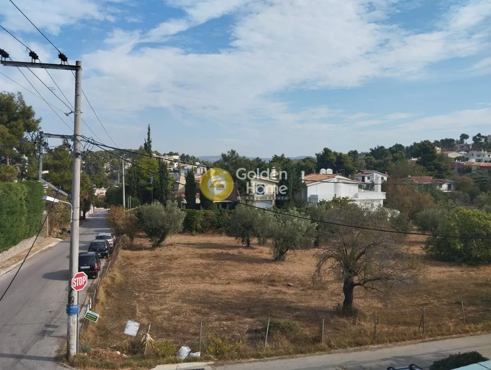 4-toaline maja asukohas GR
