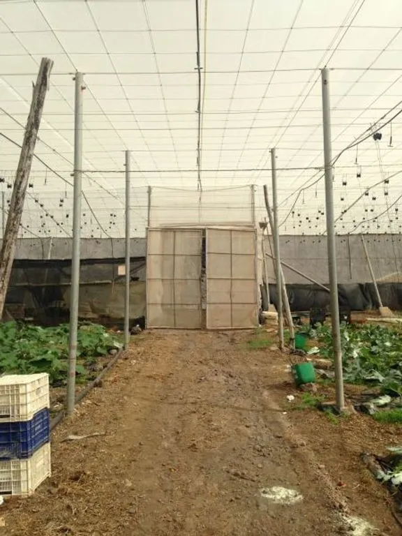Garden - Land with Greenhouse in Guía de Isora