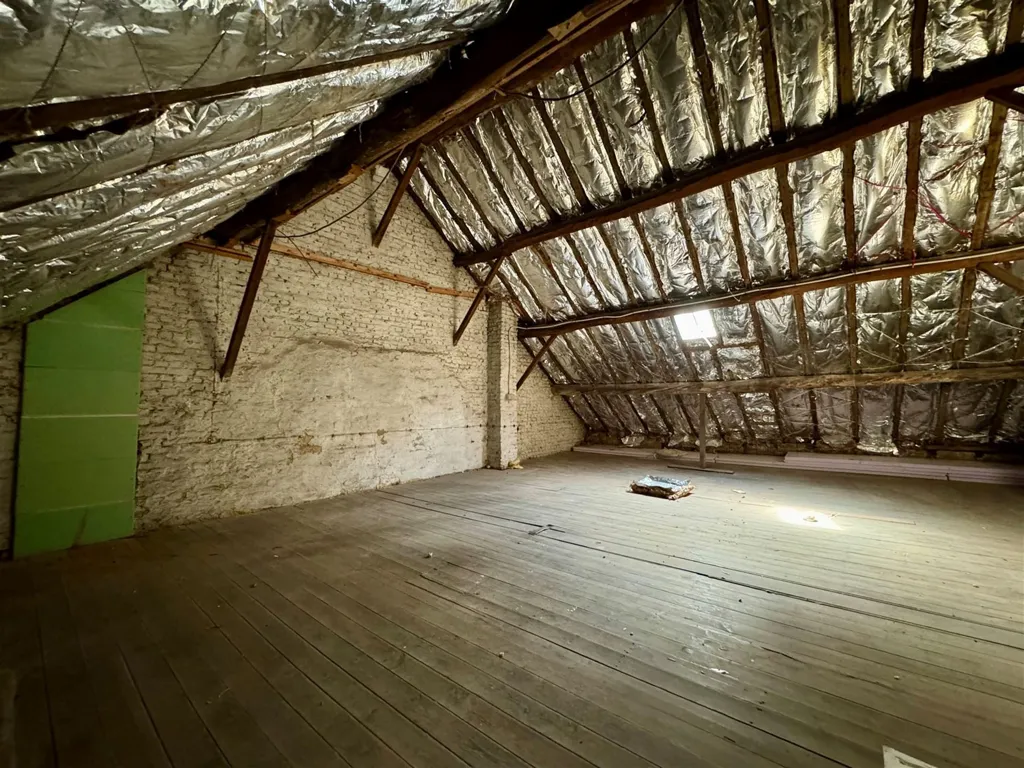 Toad - Spacious Semi-Detached House with Garden in Rumst