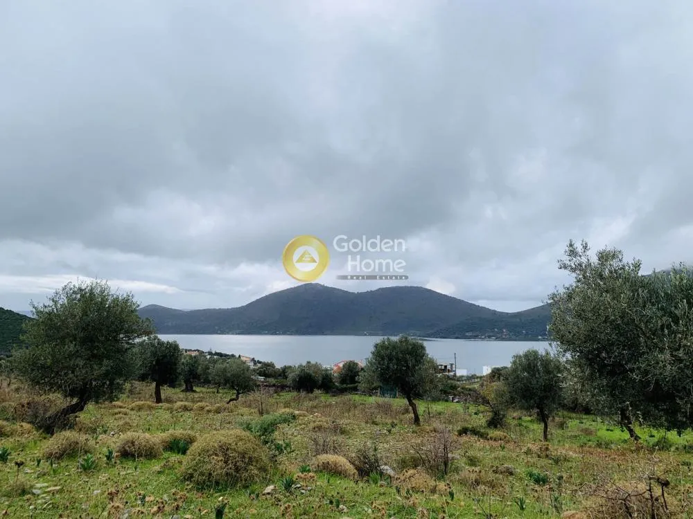 Aed - Panoramic Plot with Olive Trees in Almyropotamos