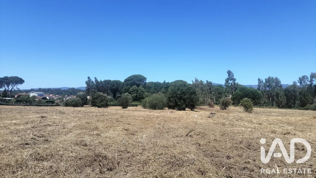 Rural Land with Expansion Potential in Tondela