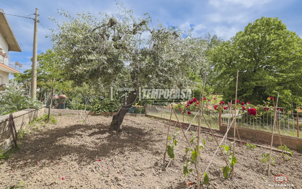 Jardin - Bifamiliar House with Garden in Cattolica