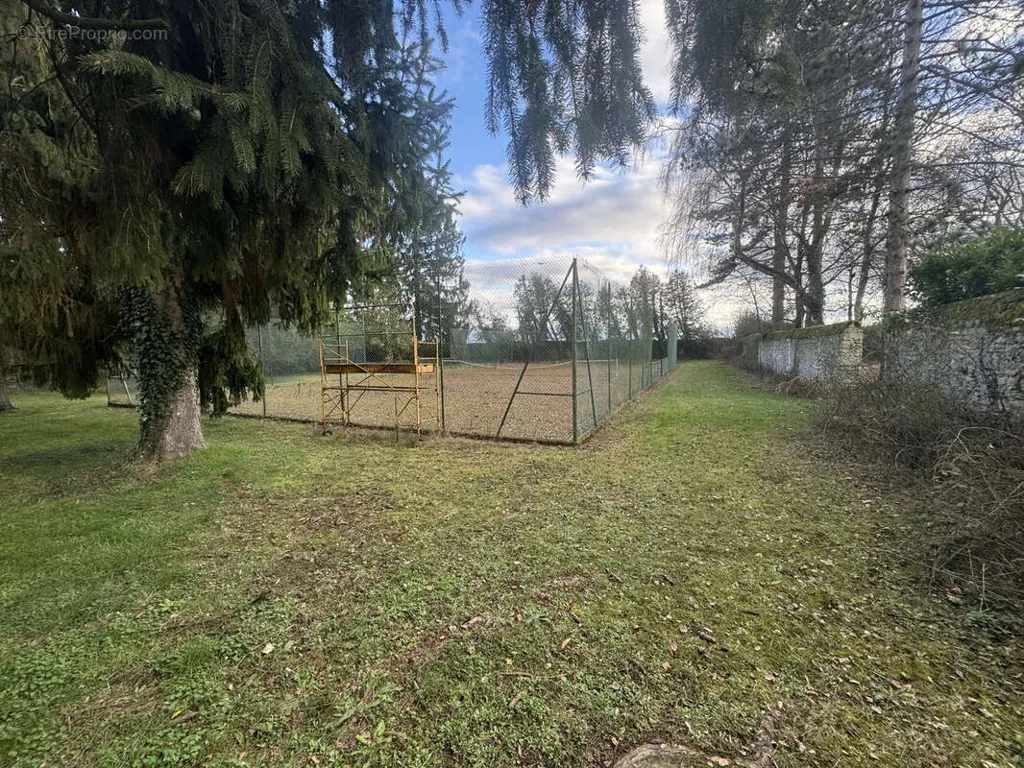 garden