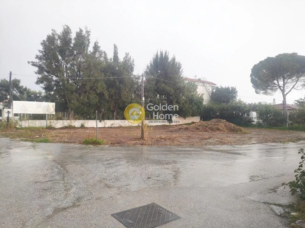 Jardin - Agricultural Plot with Sea View in Marathonas