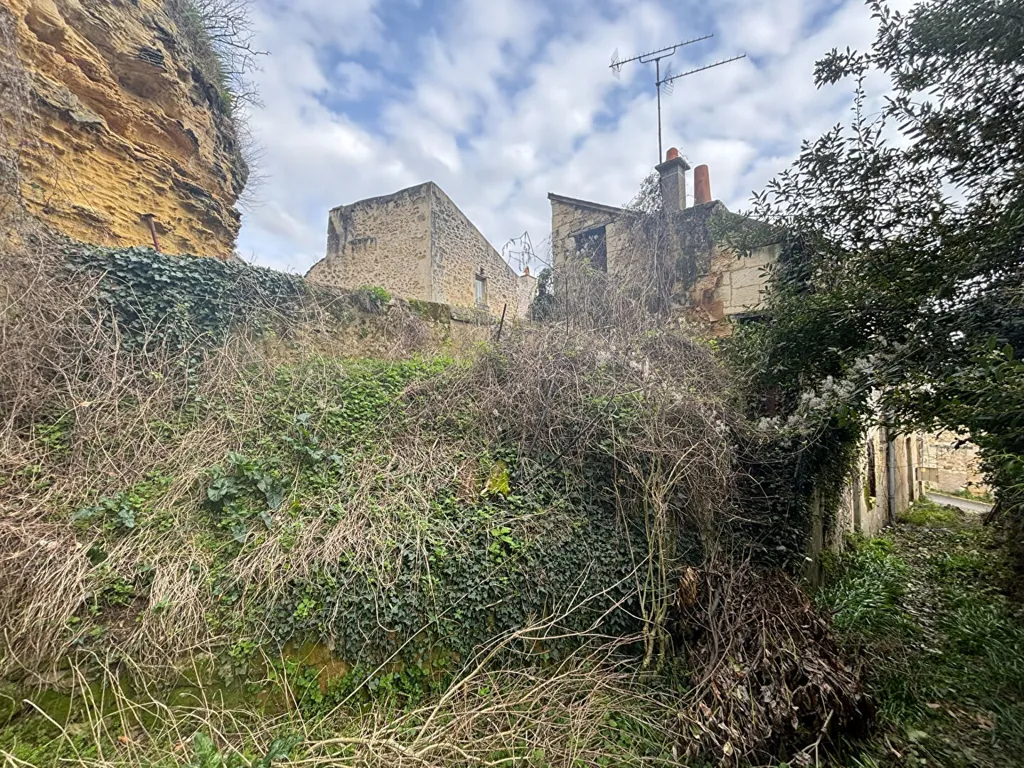 Extérieur - Deux Logements à Réhabiliter dans le Centre de Chinon