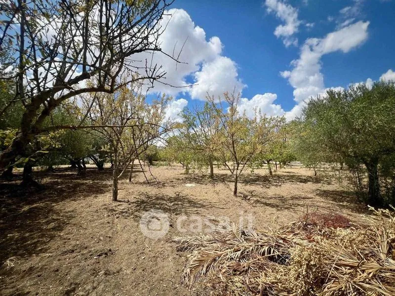 Jardin - Villa with Garden in San Cataldo