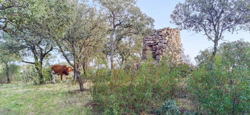 Jardin - Rustic Plot with Views in Galapagar