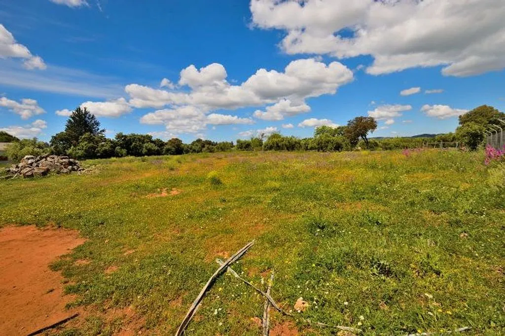 Garden - Rustic Finca with Garden near Ronda