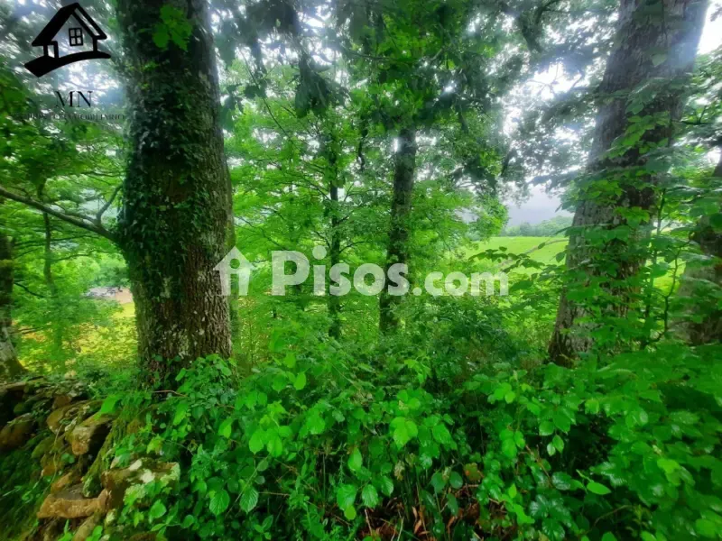 Jardin - Rustic Farm Complex with Cabañas in Valles Pasiegos