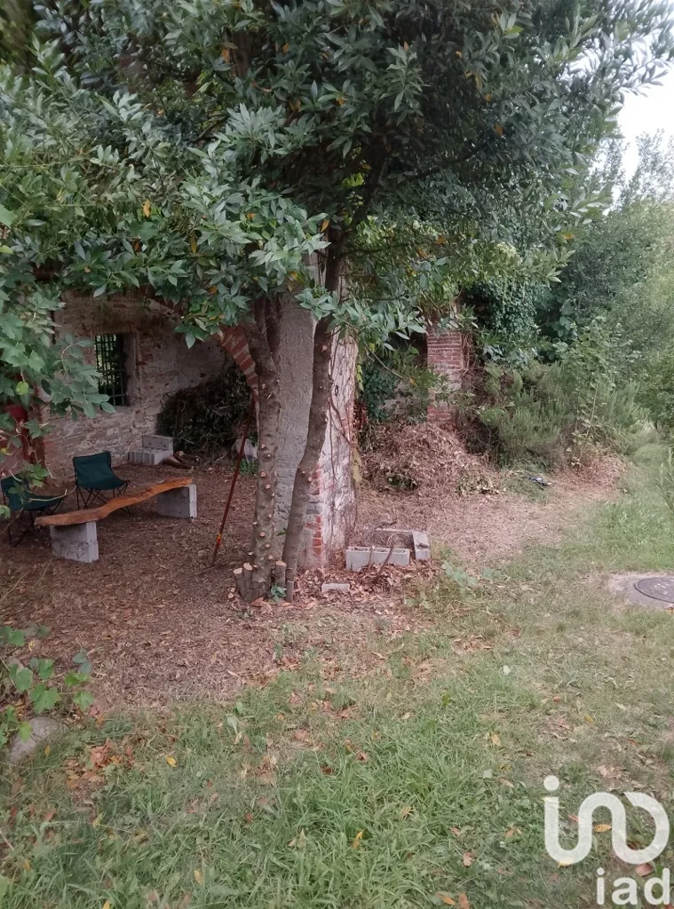 Aed - Semi-Independent House with Rustic in Niella Tanaro