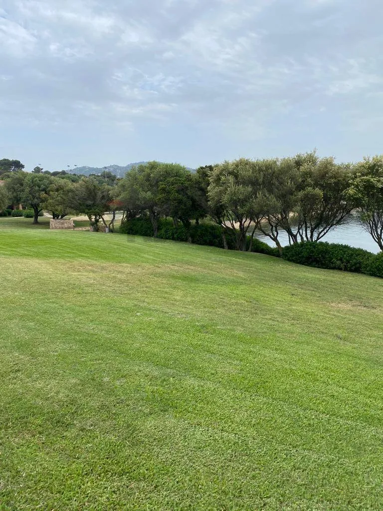 Aed - Timeshare Apartment with Patio in Costa Smeralda