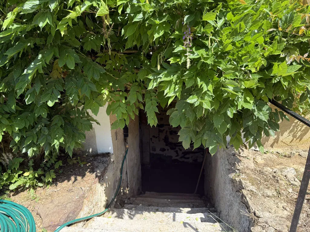 Pièces - Maison Rénovée avec Parc à Crezancy-En-Sancerre