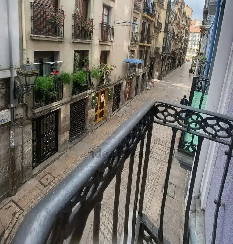 Balcon - Reformed Flat with Balcony in Bilbao's Old Town
