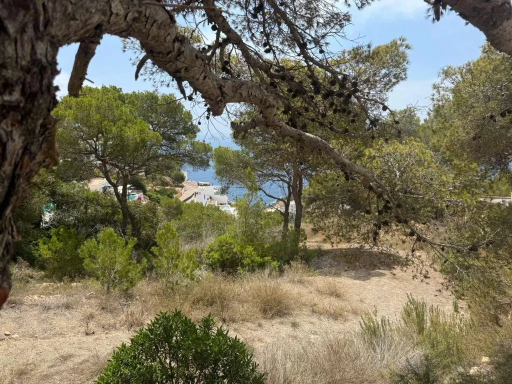 Giardino - Licensed Plot in Ibiza Golf, Roca Llisa