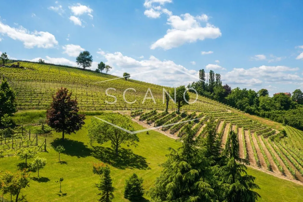 Garden - Architectural Villa with Panoramic View in Alba