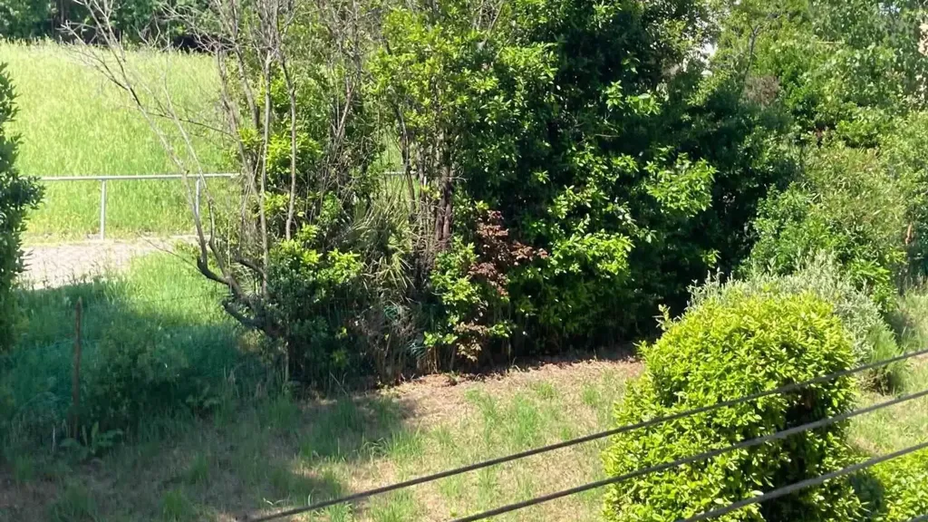 Jardin - Panoramic Apartment with Balcony in Ancona