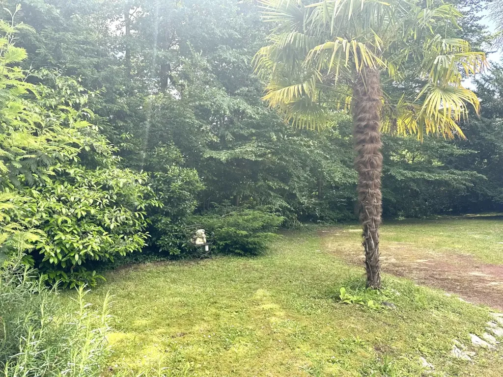 Jardin - Propriété avec Spa de Nage et Parc à l'Ouest de Tours
