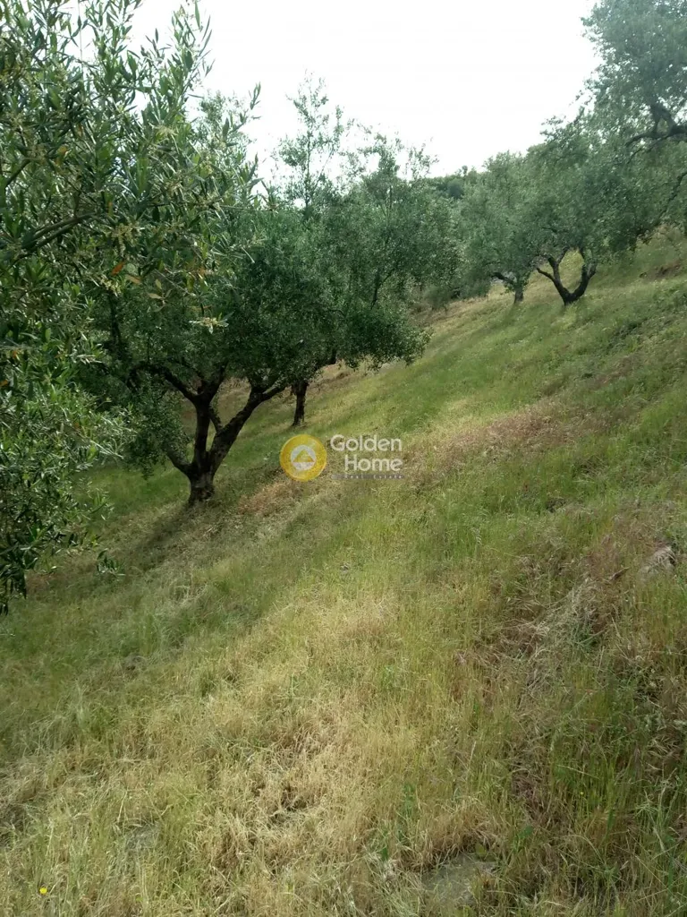 Terrain à GR