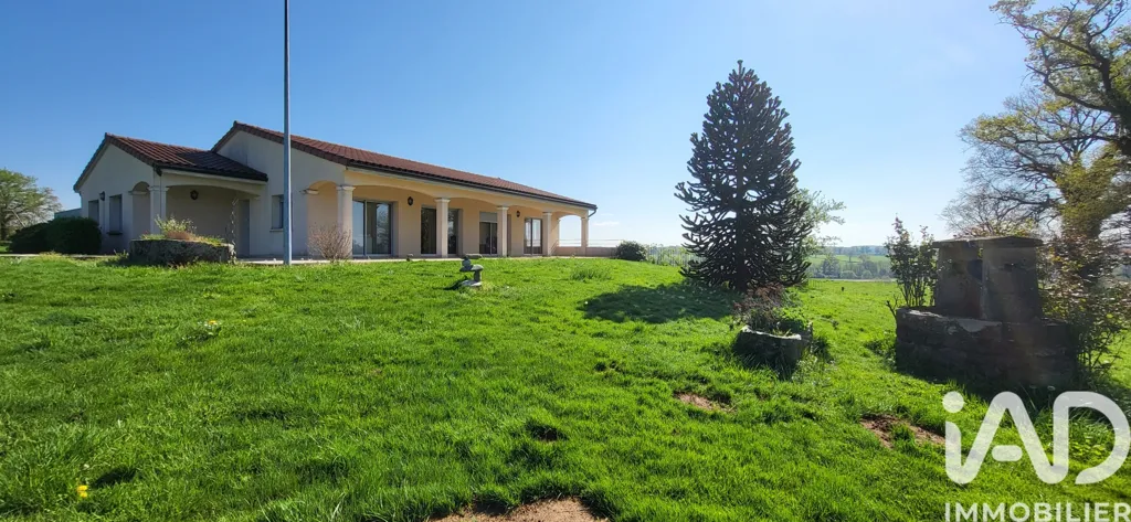 Garden - Spacious House with Garden in Volesvres