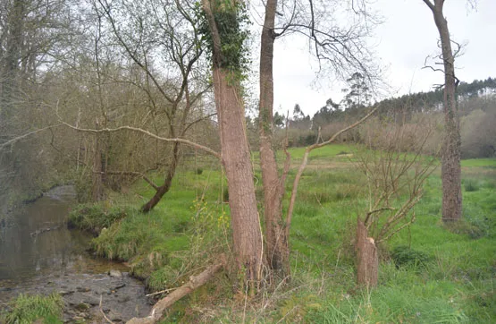 Jardin - Land Parcel in Ribadedeva, Asturias