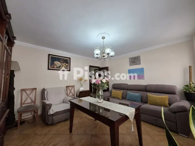 Elutuba - Spacious Flat with Garden in Carmona