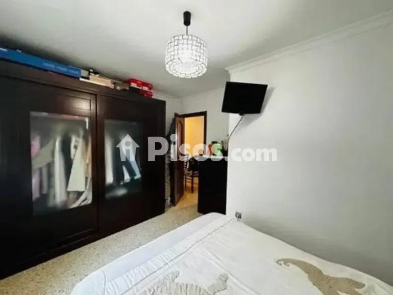 Magamistoad - First Floor Flat with Garden in Pino Montano