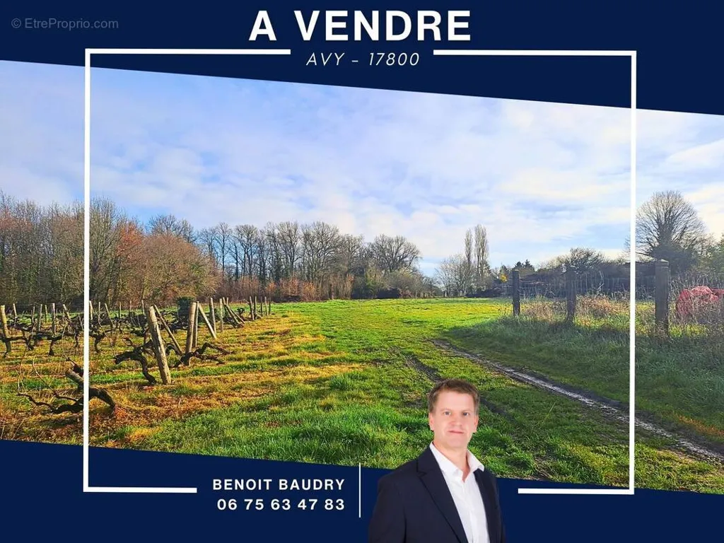 Terrain à Avy