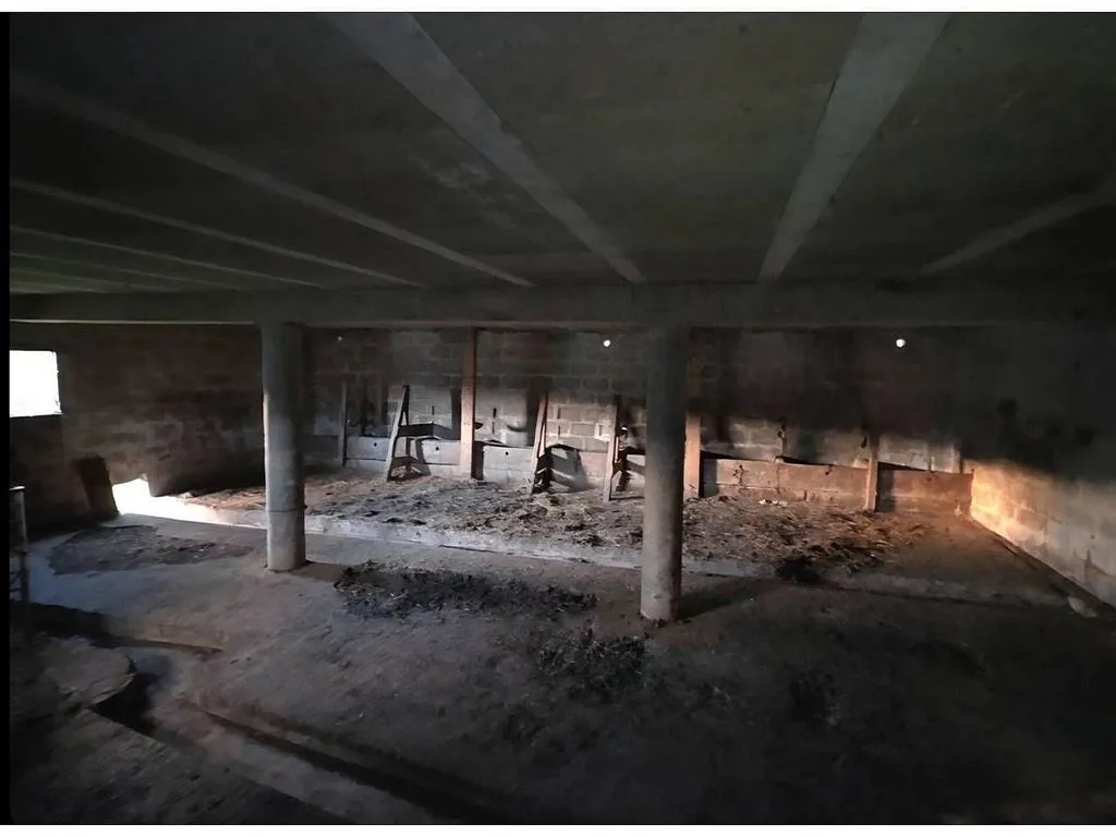 cellar