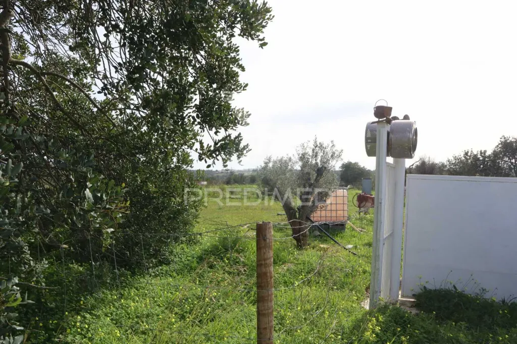 Jardin - Agricultural Land with Fruit Trees in Albufeira