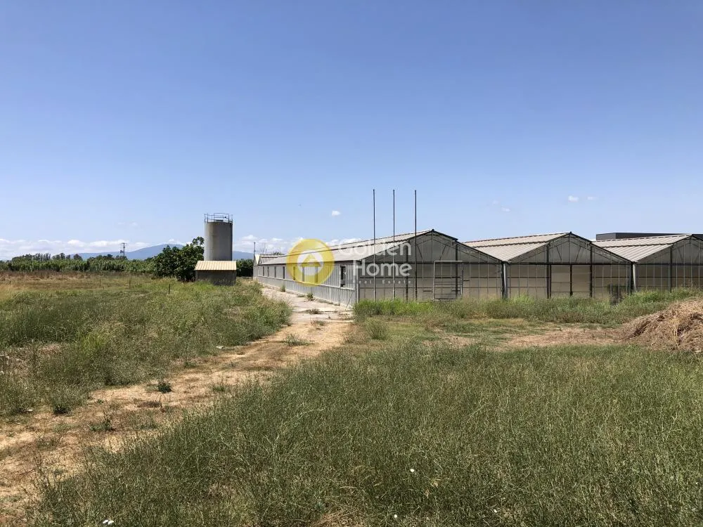 Aed - Agricultural Plot with Greenhouse in Kalamos