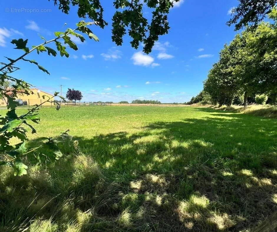 Aed - Buildable Plot with Garden in Le Poire-Sur-Vie