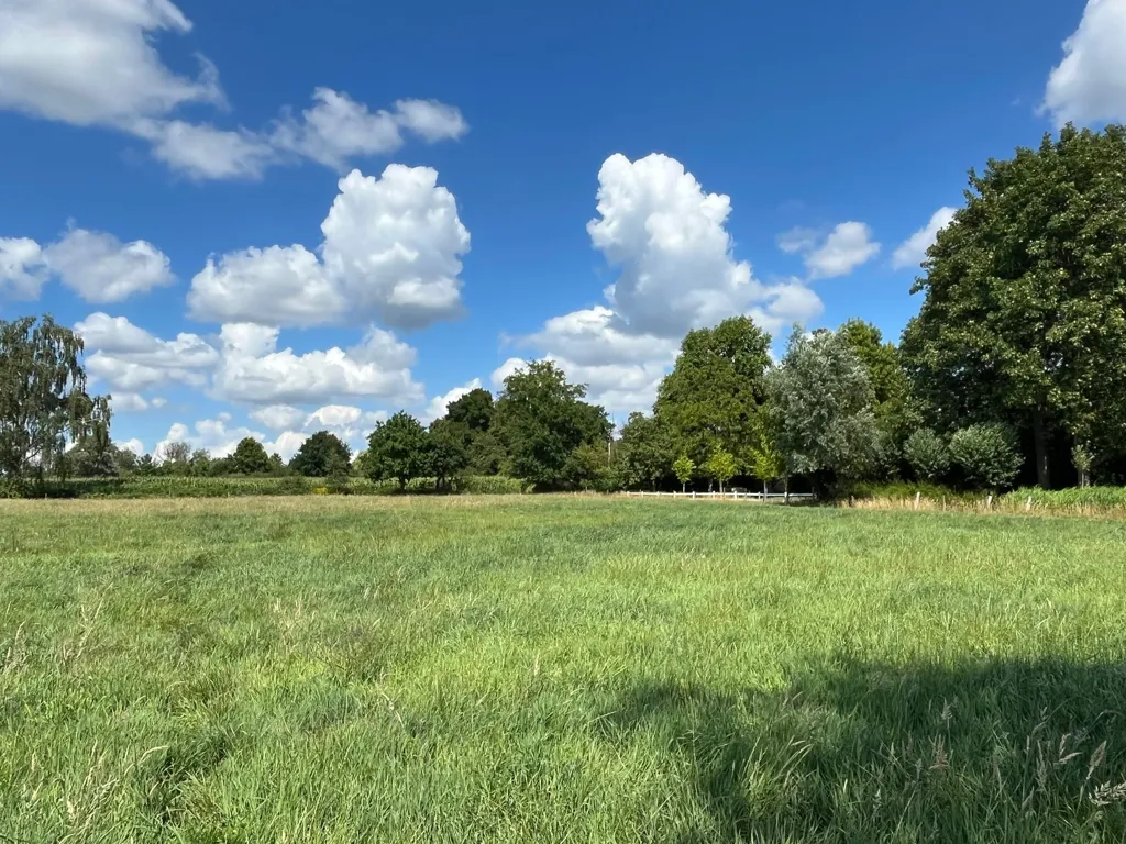 Aed - Villa with Garden in Sint-Niklaas