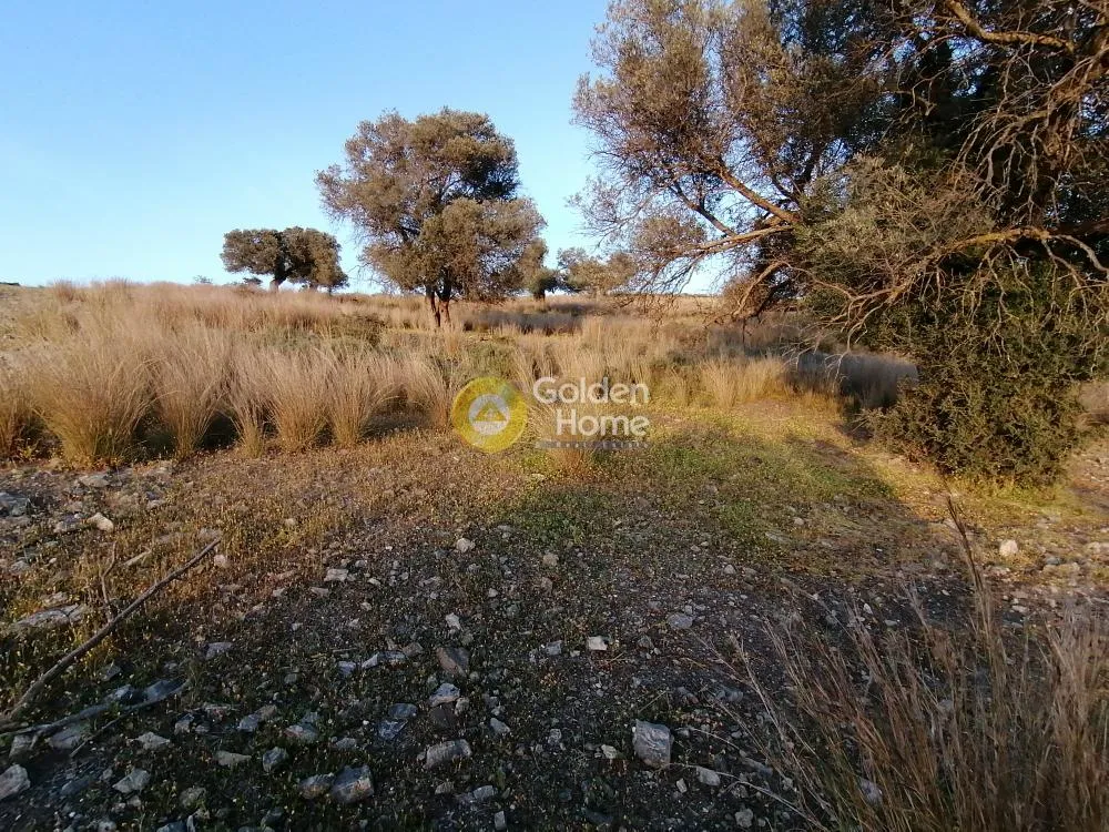 Aed - Agricultural Plot with Panoramic Views in Phaistos