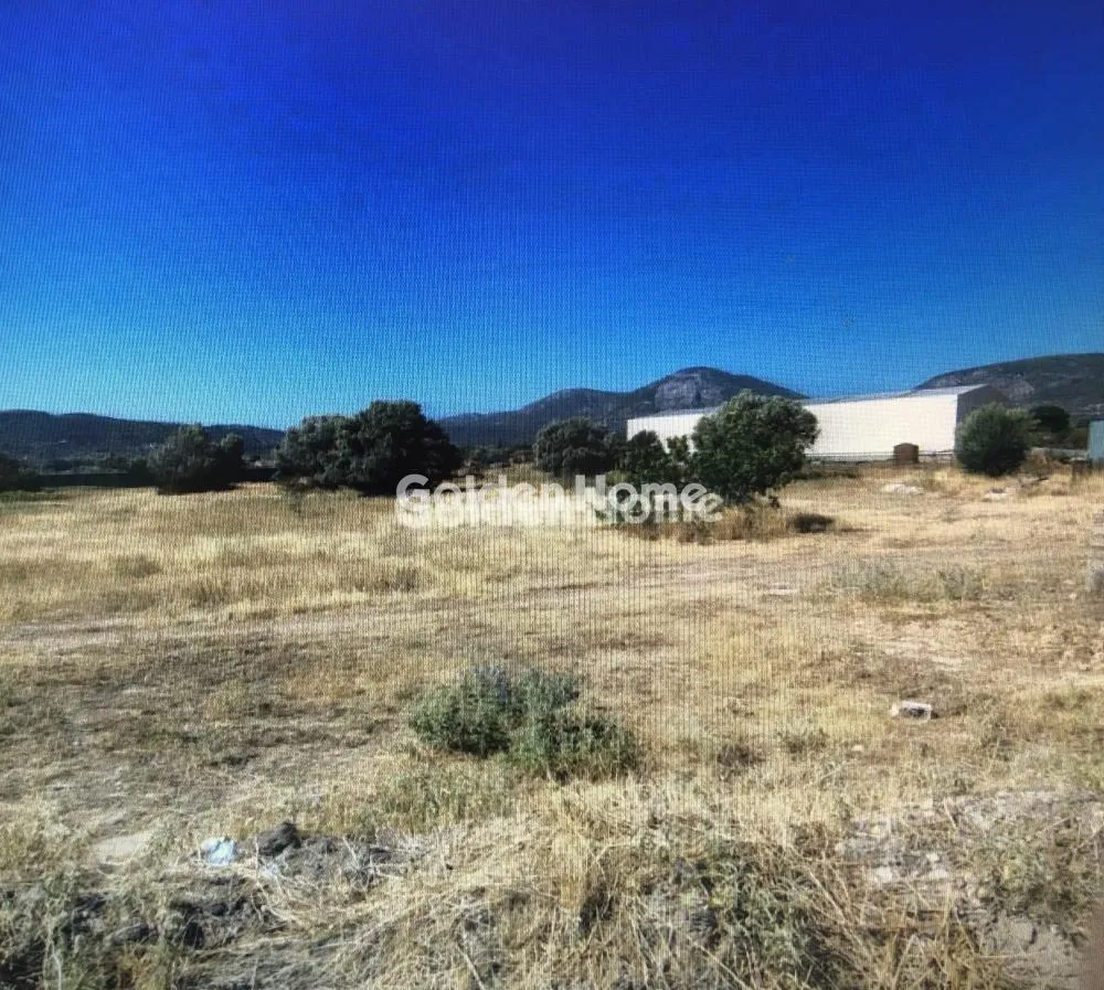 Jardin - Plot with Mountain View in Koropi