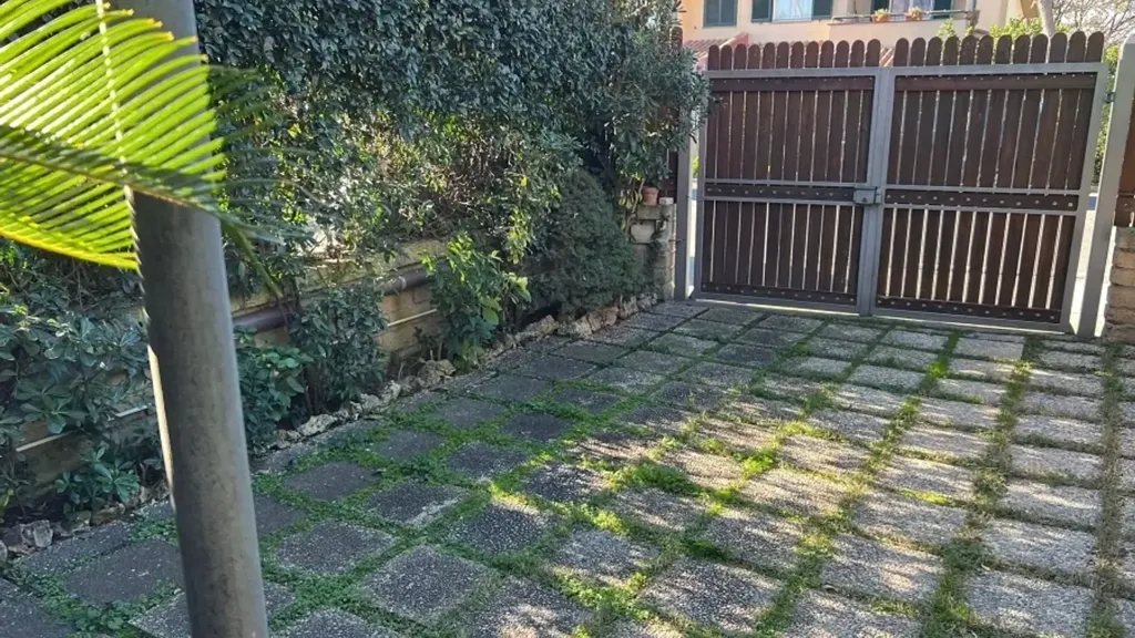 Garden - Detached Villa with Garden in Cerveteri