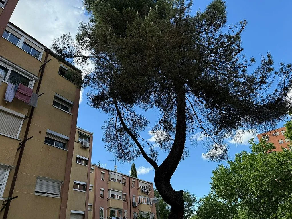 Välivaade - Modern Flat with A/C in San Blas-Simancas, Madrid