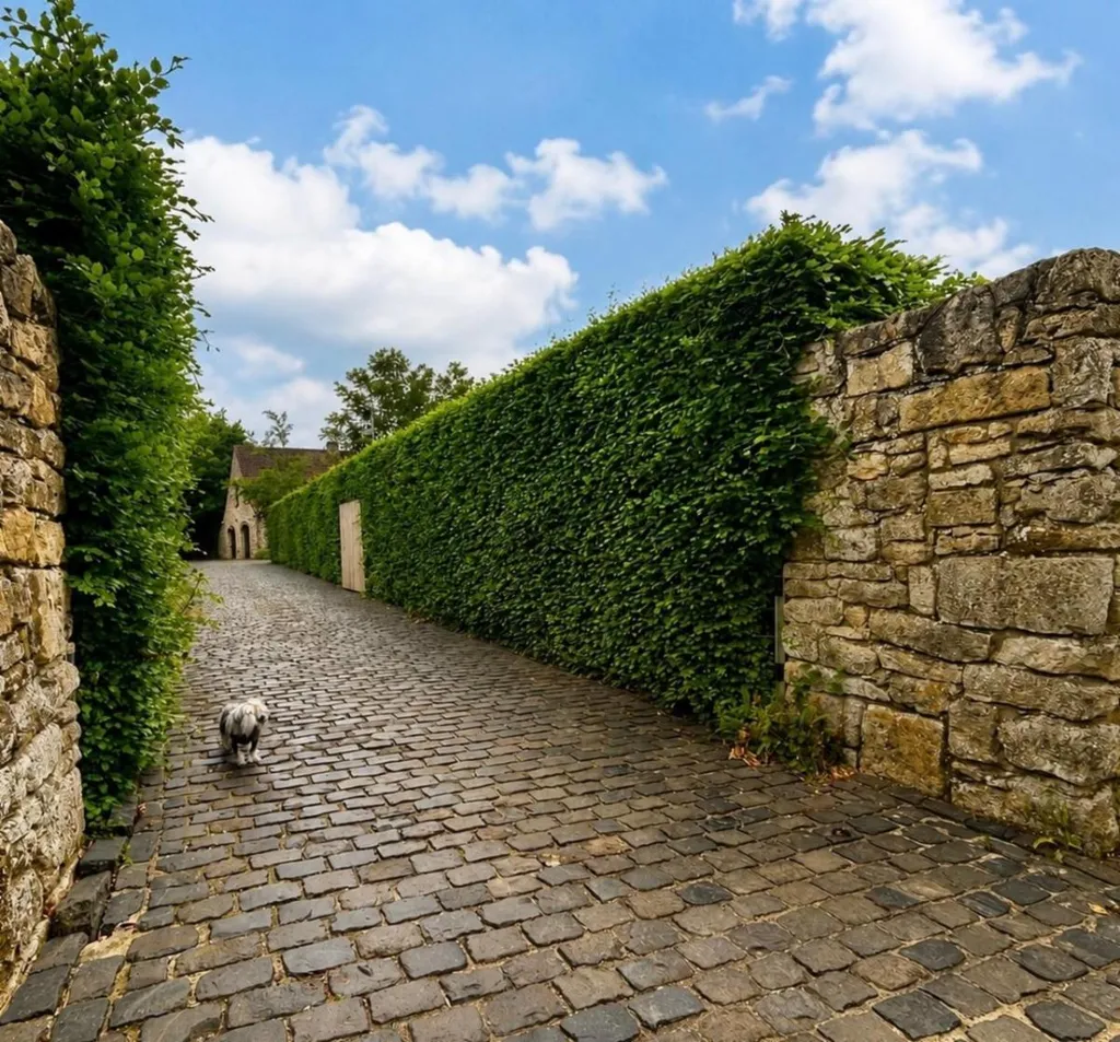 Esterno - Charming Villa with French Facade in Prestigious Area