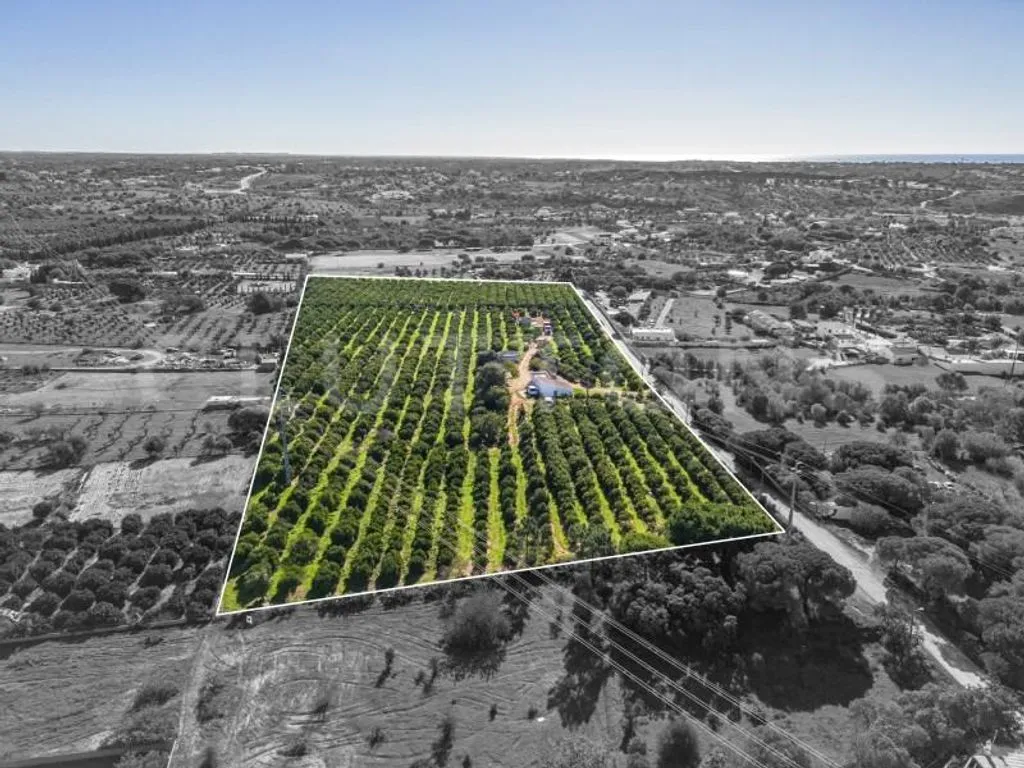 land_plot