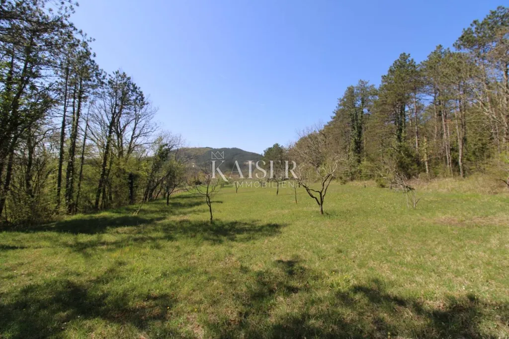Jardin - Country House with Large Garden in Buzet