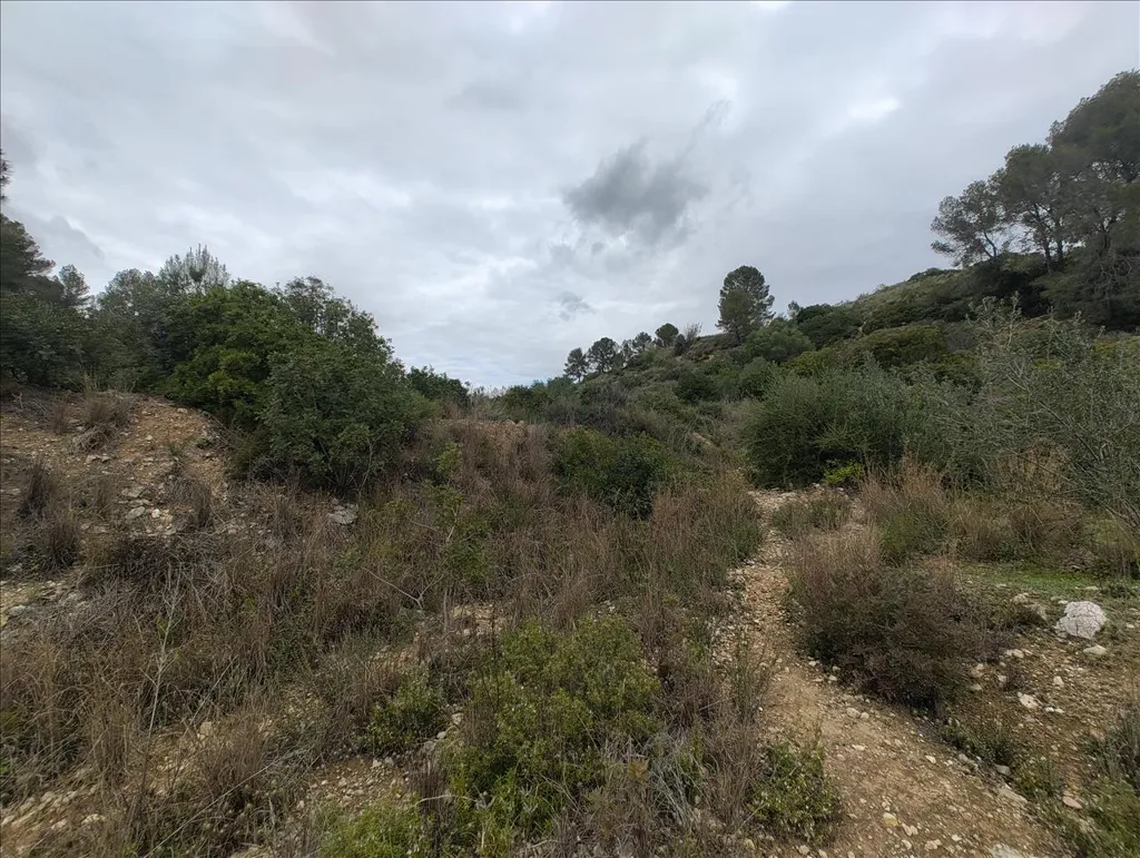 Jardin - Rustic Land with Vineyard in La Llosa de Ranes