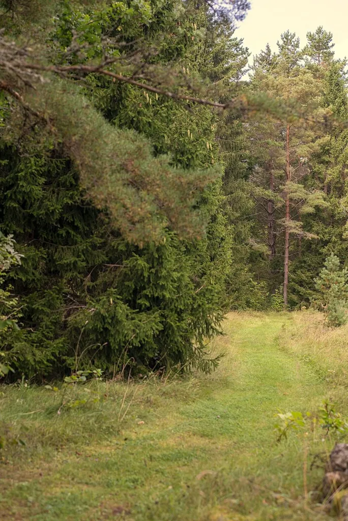 Jardin - Plot with Potential for Cottage in Meiuste