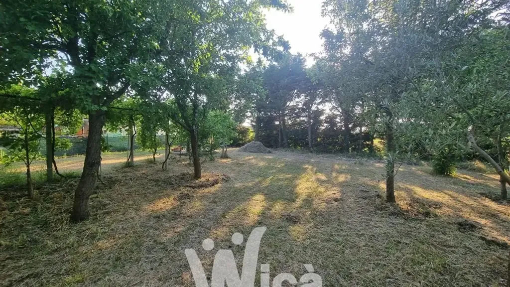 Aed - Villa with Garden in Cervia Thermal Zone