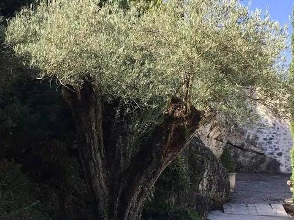 Aed - Luxury Villa with Pool in Lecce nei Marsi