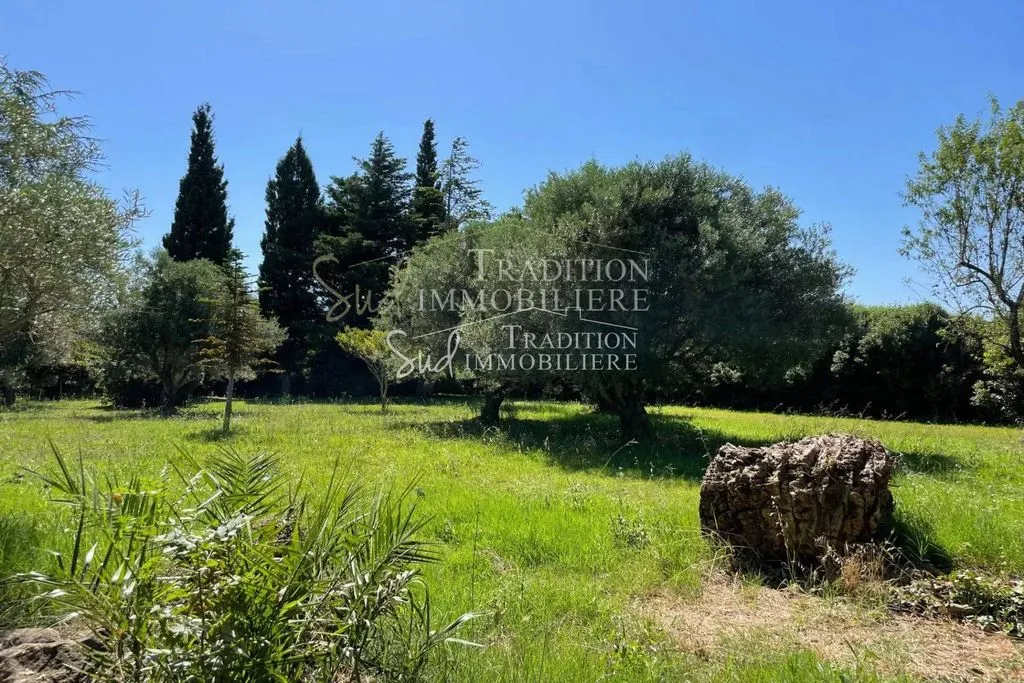 Aed - Luxury Villa to Renovate with Alpilles View