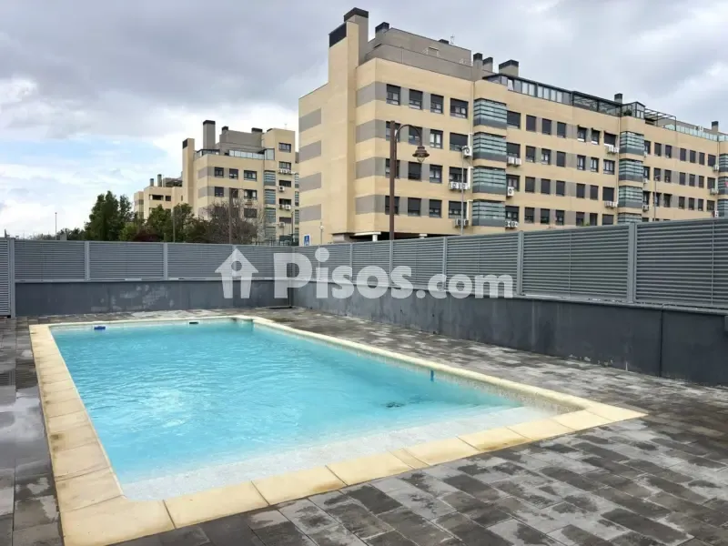 Piscine - Ground Floor Flat with Private Garden in Fuenlabrada