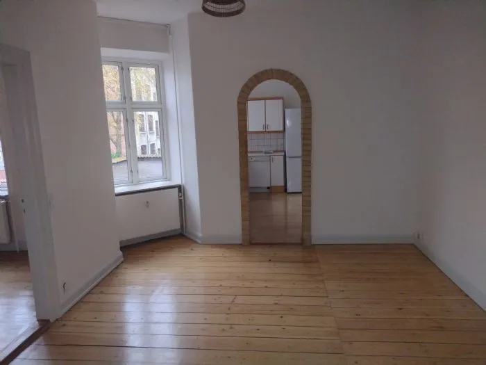 Séjour - Spacious Flat with South-Facing Terrace in Odense C