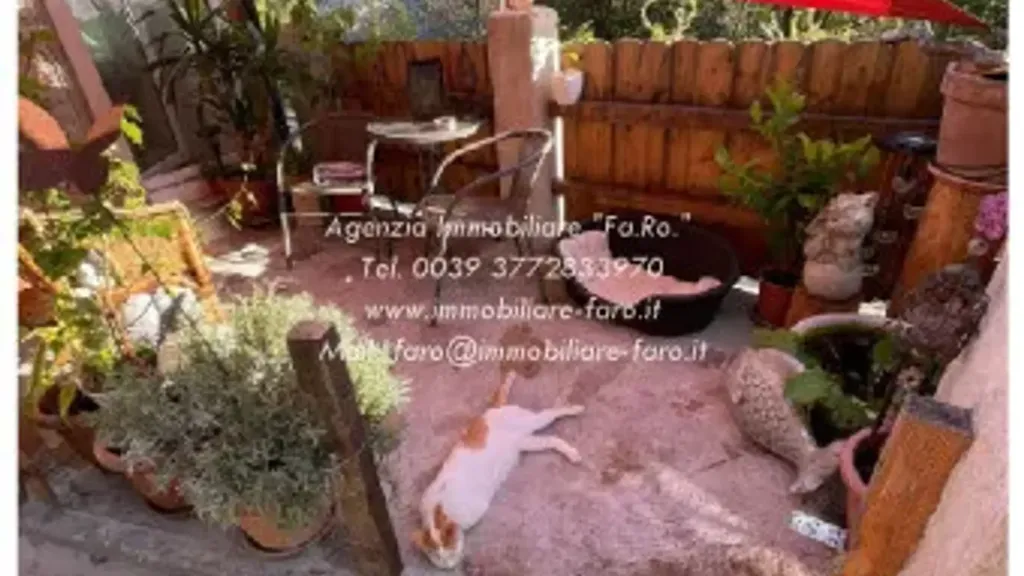 terrace_patio